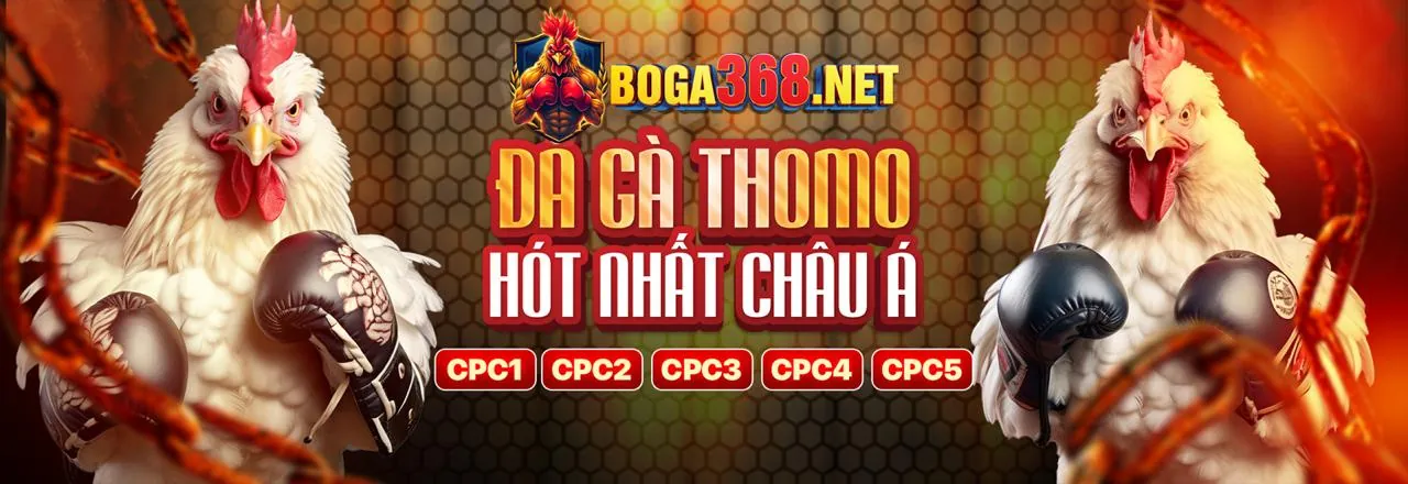 Tổng hợp ưu đãi và khuyến mãi hấp dẫn nhất từ lc888